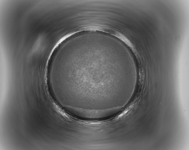 X0000085301020200703161430