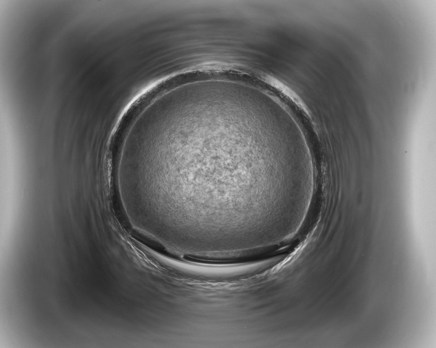 X0000085301021200703161430