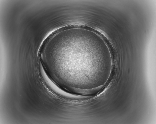 X0000085301022200703161430