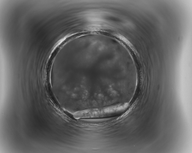 X0000085301023200703161430