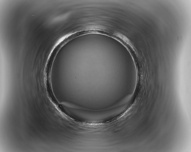 X0000085301024200703161430