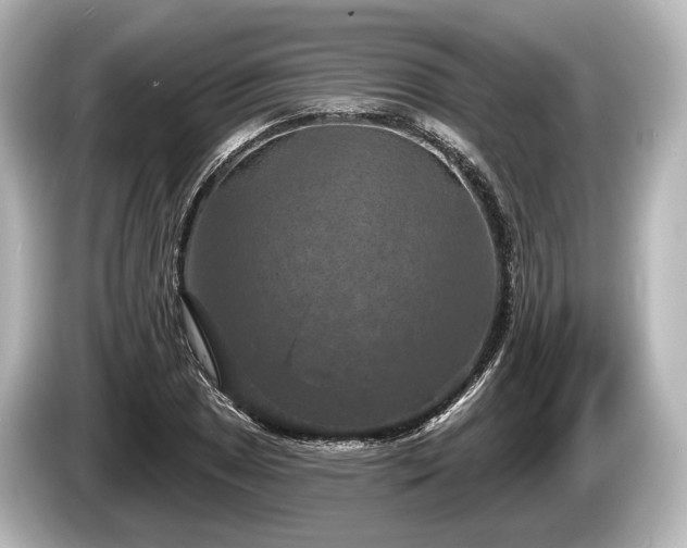 X0000085301025200703161430