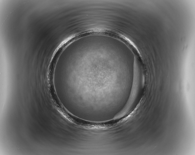 X0000085301026200703161430