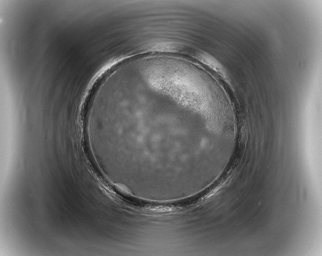 X0000085301027200703161430