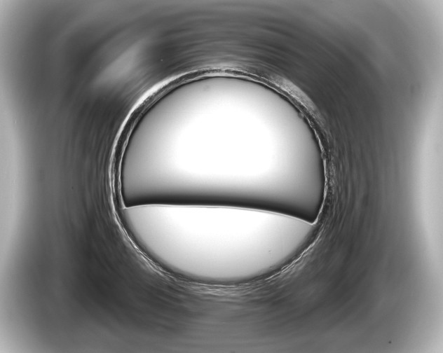 X0000085301028200703161430