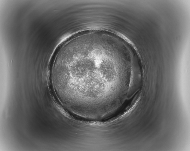 X0000085301029200703161430