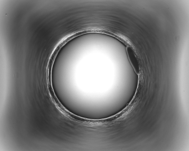 X0000085301030200703161430