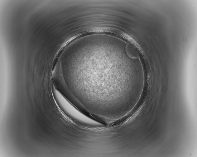 X0000085301033200703161430