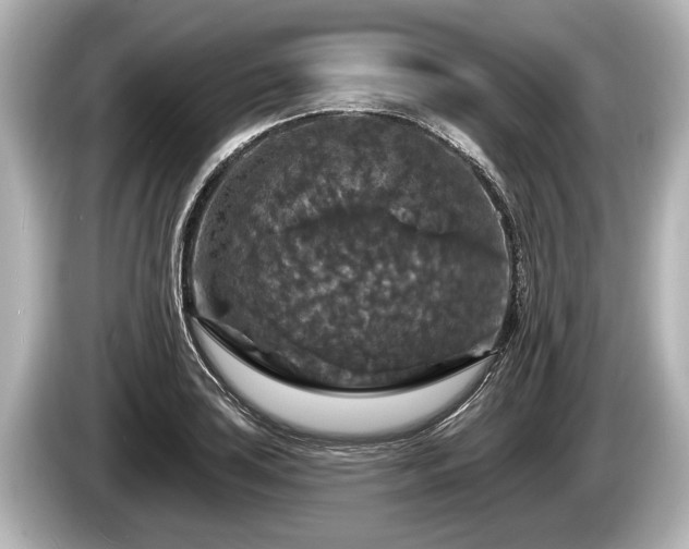 X0000085301035200703161430