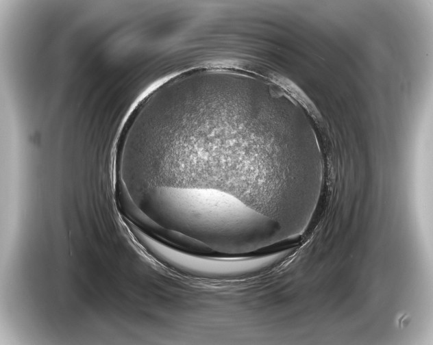 X0000085301036200703161430