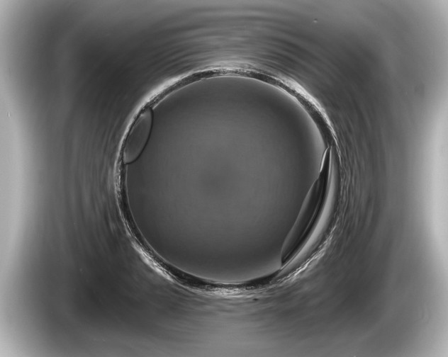 X0000085301037200703161430