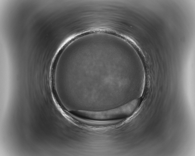 X0000085301038200703161430