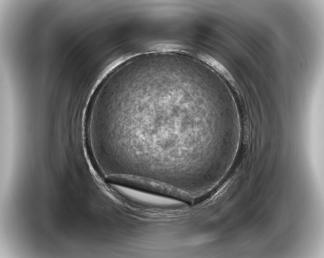 X0000085301039200703161430