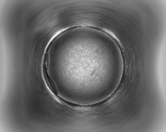 X0000085301040200703161430