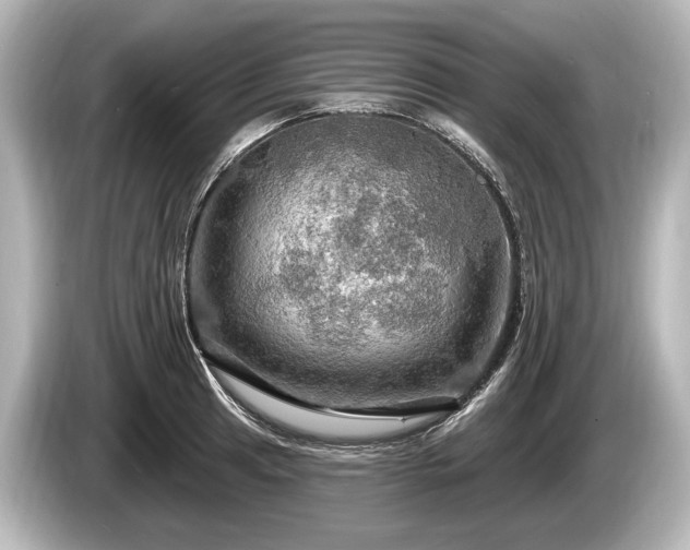 X0000085301041200703161430