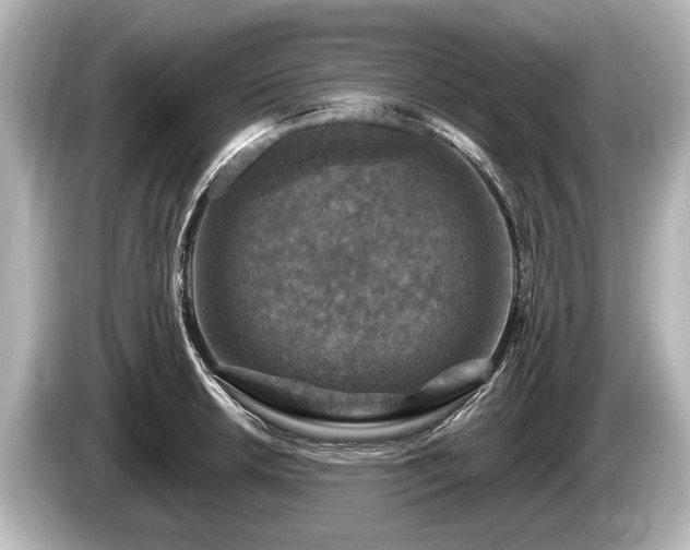 X0000085301042200703161430