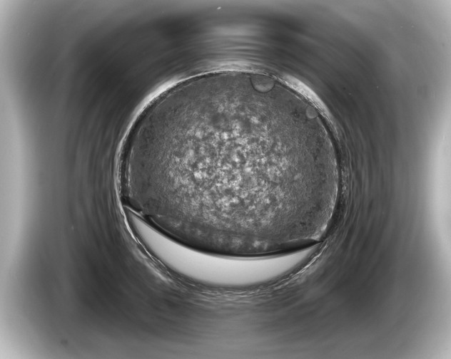 X0000085301043200703161430