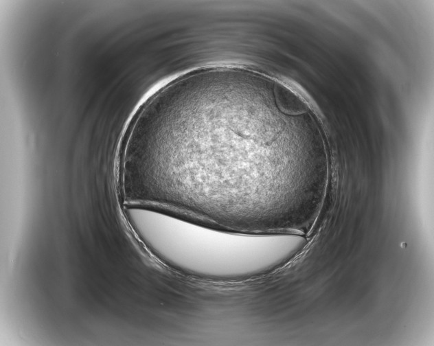 X0000085301044200703161430