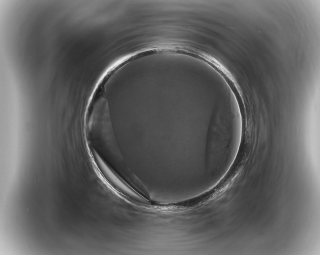 X0000085301045200703161430