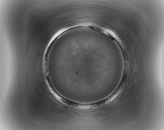 X0000085301046200703161430