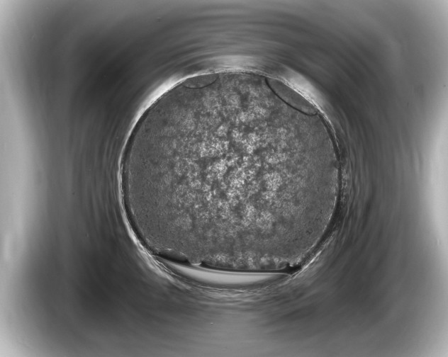 X0000085301047200703161430