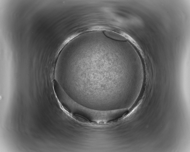 X0000085301049200703161430