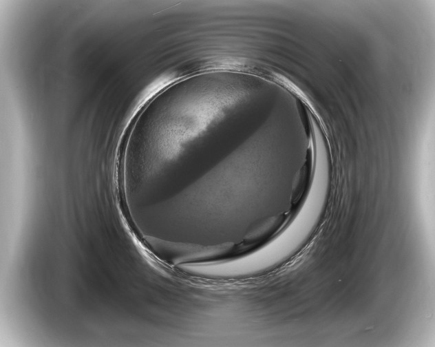 X0000085301050200703161430