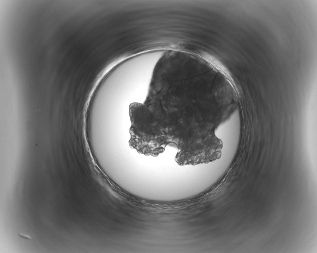 X0000085301051200703161430