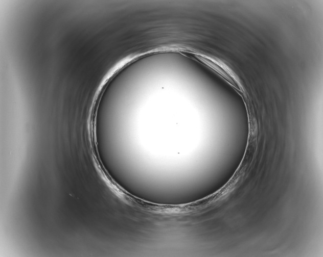 X0000085301054200703161430