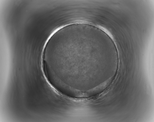 X0000085301056200703161430