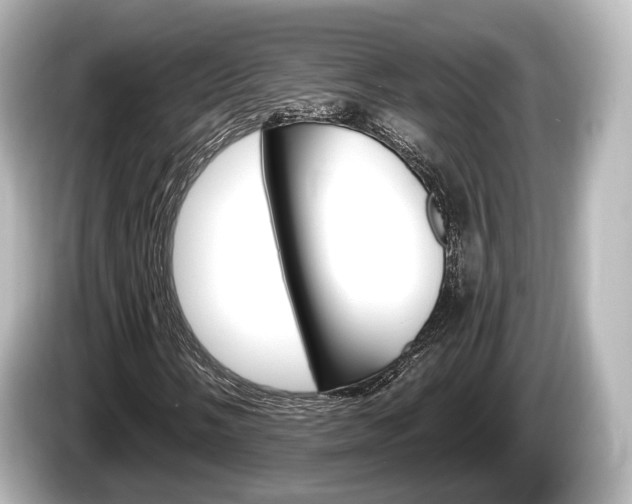 X0000085301058200703161430