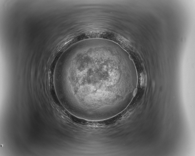 X0000085301059200703161430