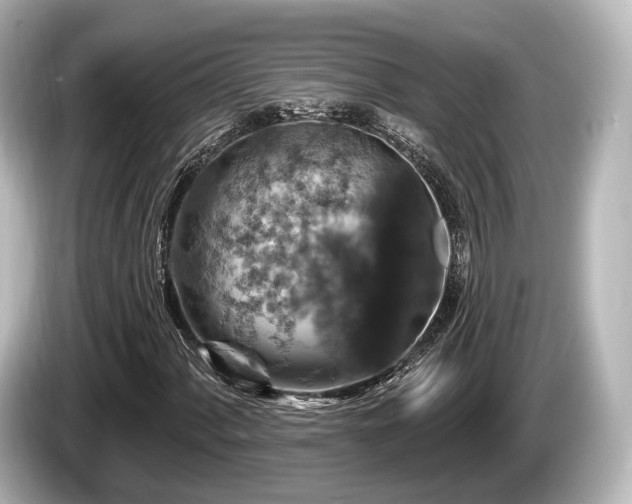 X0000085301060200703161430