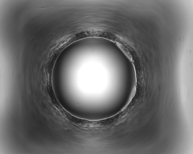 X0000085301061200703161430