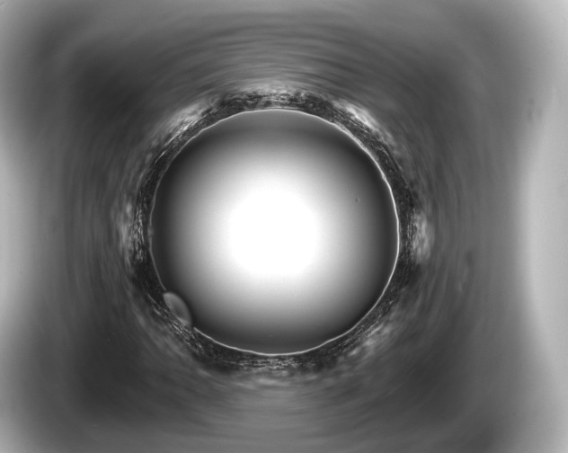 X0000085301062200703161430