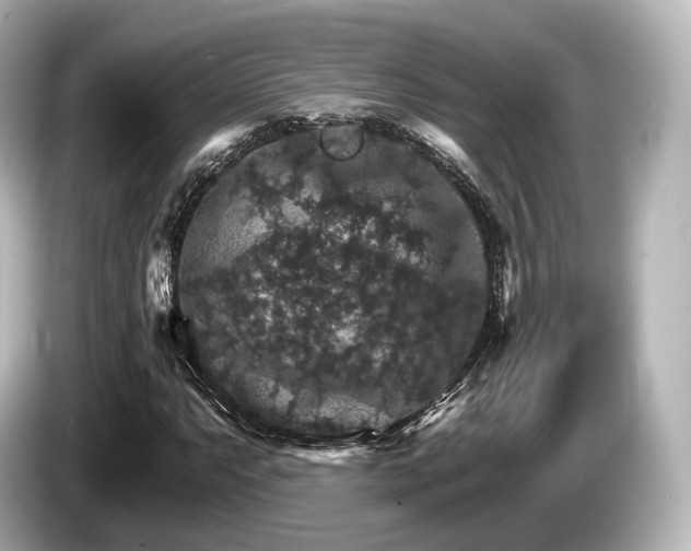 X0000085301063200703161430