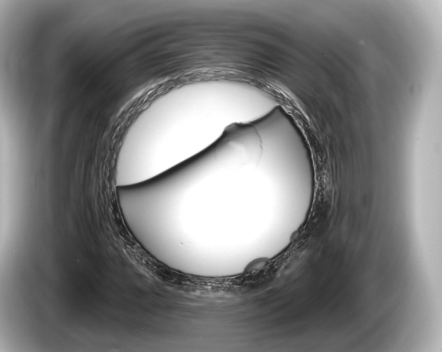 X0000085301064200703161430