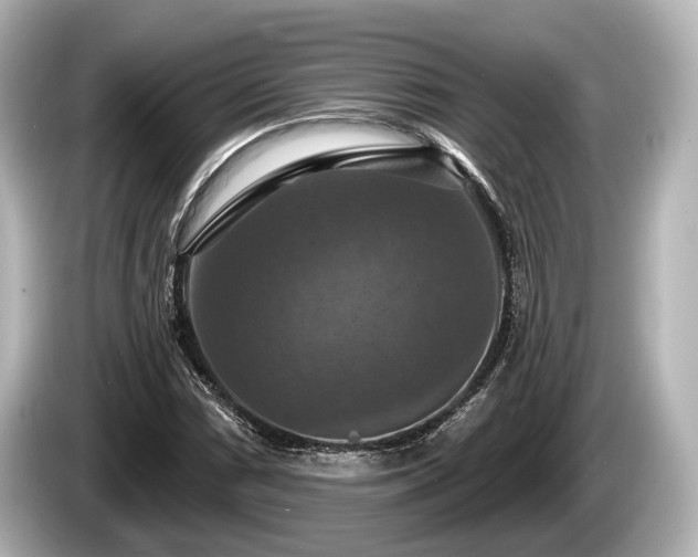 X0000085301066200703161430