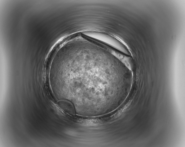 X0000085301067200703161430