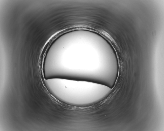 X0000085301068200703161430