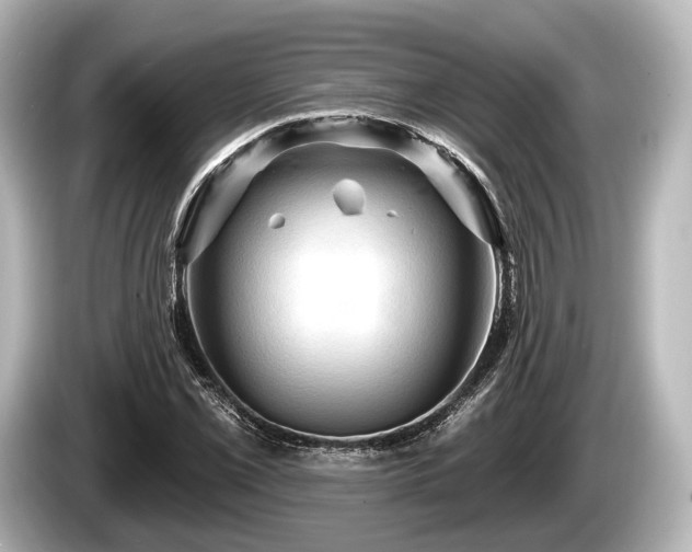 X0000085301069200703161430