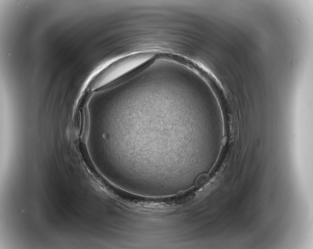 X0000085301070200703161430