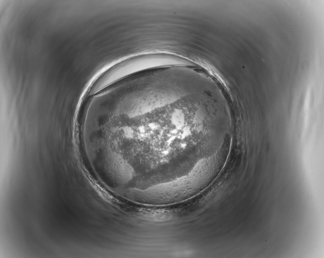 X0000085301072200703161429