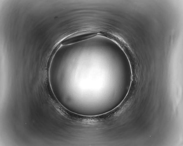 X0000085301073200703161429