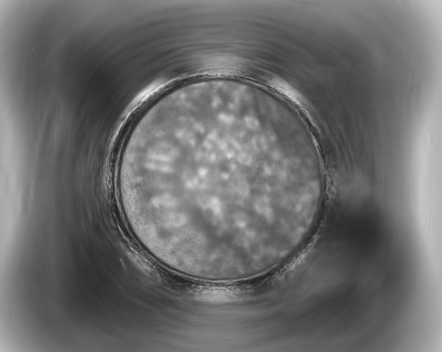 X0000085301074200703161429