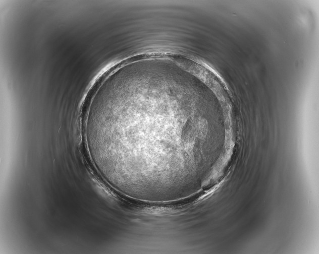 X0000085301075200703161429