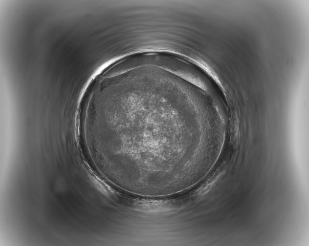 X0000085301076200703161429