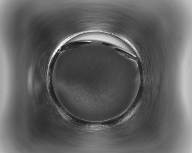 X0000085301077200703161429