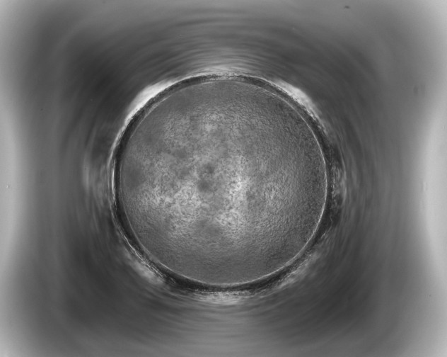 X0000085301078200703161429