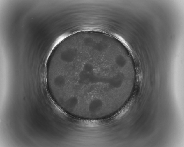 X0000085301079200703161429